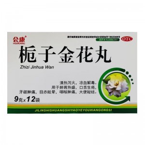 栀子金花丸（会康）